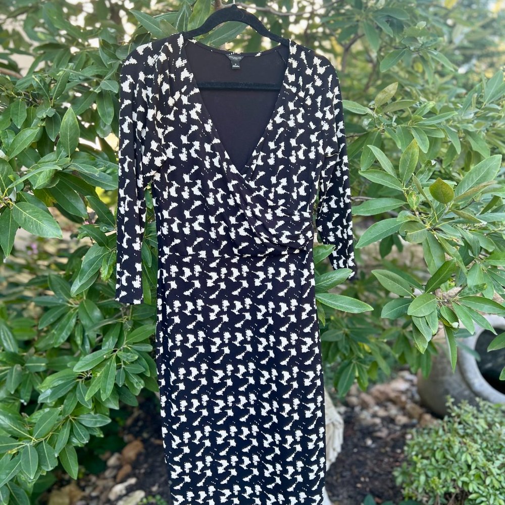 Ann Taylor Dress, sz S, B&W classic